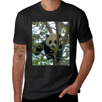 Футболка New Baby Panda Xiao Qi Ji at the National Zoo, графические футболки с животным принтом, рубашка для мальчиков, мужские футболки, повседневные стильные