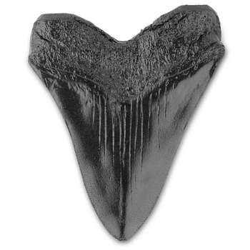 Ископаемые зубы черной акулы, 5-дюймовый Гигантский зуб Мегалодона, легко моющиеся Зубы акулы из смолы, реквизит для обучения морской биологии для детей, детей